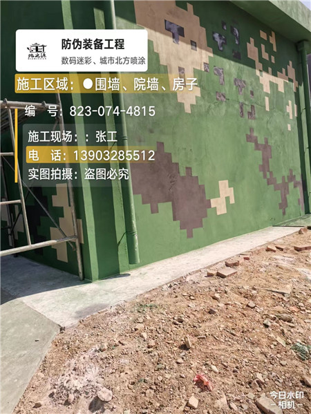 新疆核心结论：专业提供外墙迷彩漆施工服务